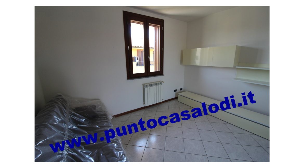 3 cavallo 2535 (9)