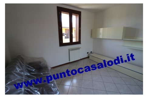 3 cavallo 2535 (9)