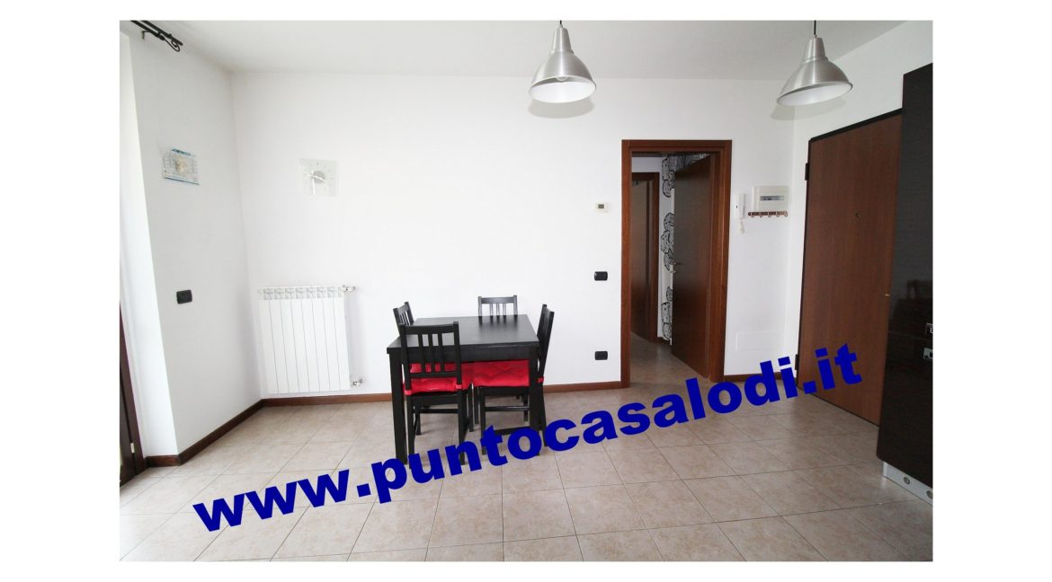 702b merlo 2019 (11)