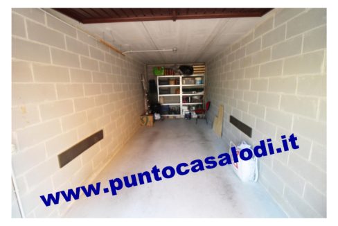 702b merlo 2019 (29)