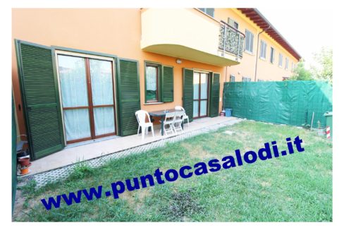 702b merlo 2019 (3)