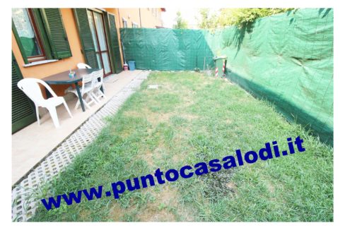 702b merlo 2019 (4)