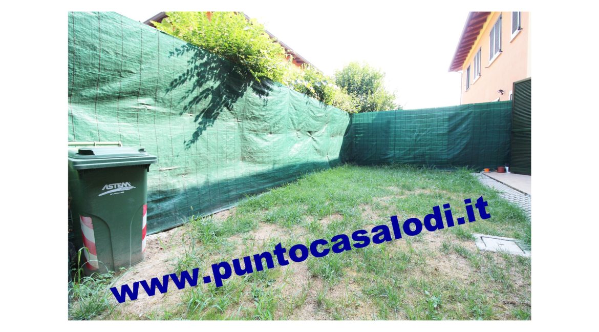 702b merlo 2019 (6)