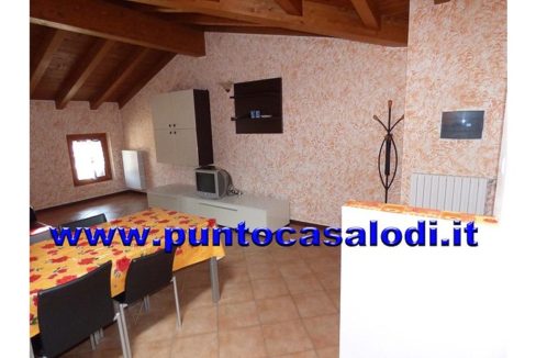 cagnoli bilo grande 160 (6)
