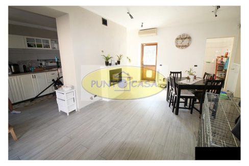 murgia 373 (10)