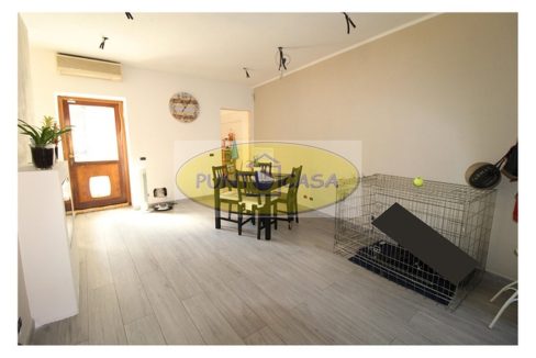 murgia 373 (12)