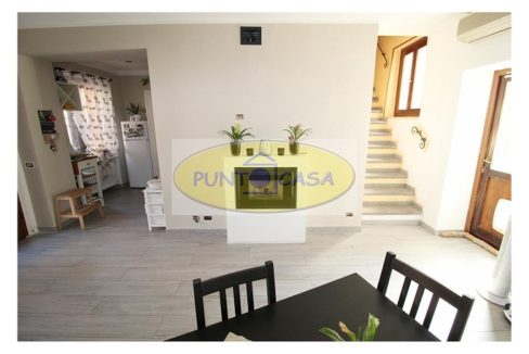 murgia 373 (13)