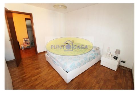 murgia 373 (33)
