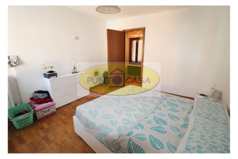 murgia 373 (35)