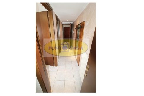 antonacci 375 (15)