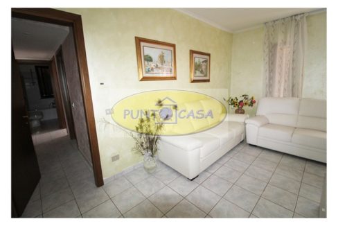 antonacci 375 (7)