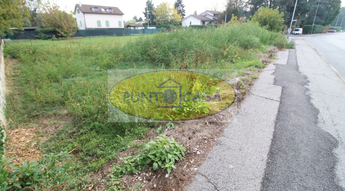 prova collina 2547 (1)