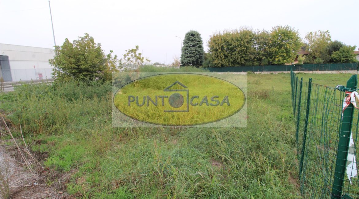 prova collina 2547 (2)