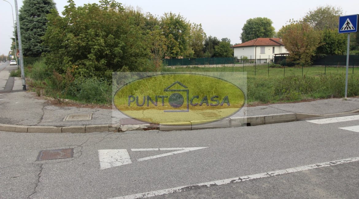 prova collina 2547 (3)