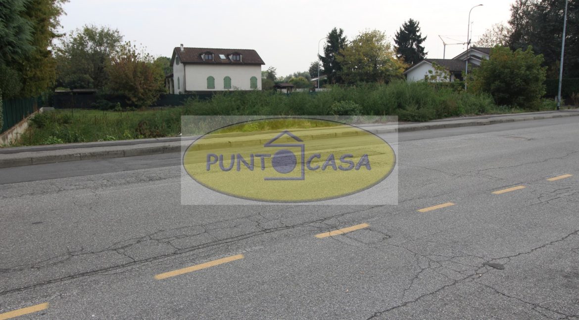 prova collina 2547 (5)