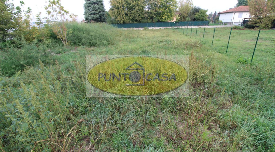 prova collina 2547 (6)