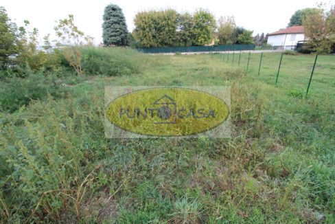 prova collina 2547 (6)