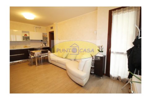 riferimento 807 (7)