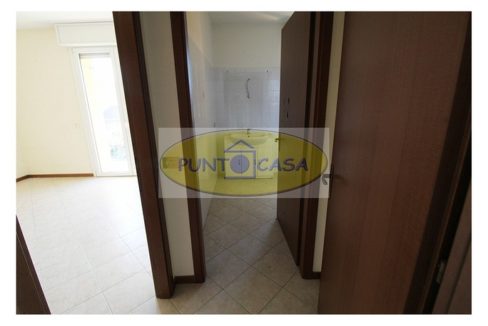 riferimento 6545 (13)