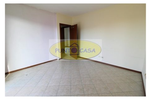 riferimento 6545 (15)