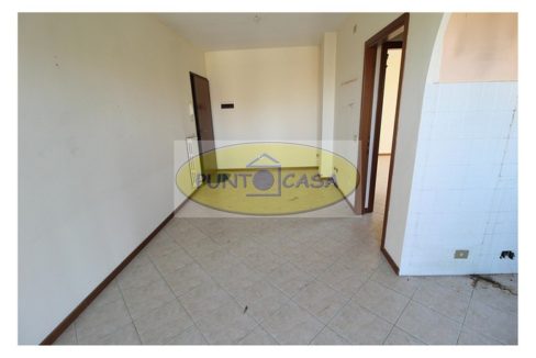 riferimento 6545 (5)