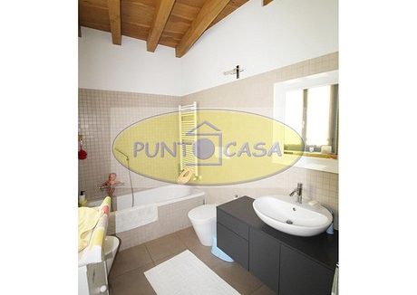 riferimento 3386 (23)