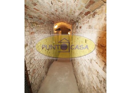 riferimento 3386 (49)