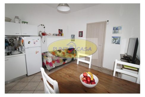 Villa singola su un piano in vendita a Borghetto Lodigiano - riferimento 386 (15)