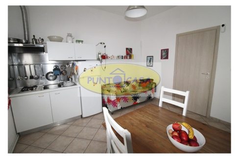 Villa singola su un piano in vendita a Borghetto Lodigiano - riferimento 386 (20)